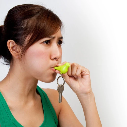 Держатель для ключей duo sparrow, белый/зеленый