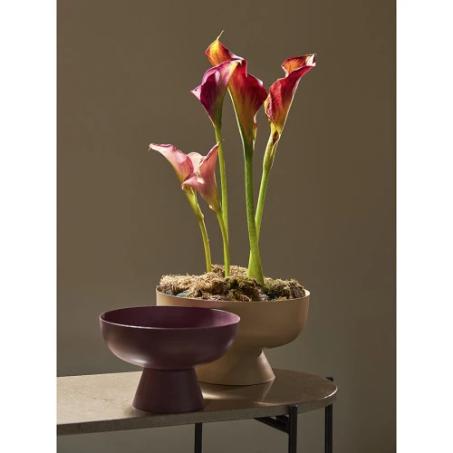 Блюдо на ножке vivlend, D21 см, сливовое