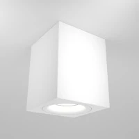 Потолочный светильник Technical C013CL-01W