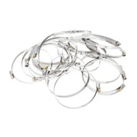 Хомуты нержавеющая сталь, Стандартное болтовое крепление 100-120 мм, 25 штук в упаковке, ширина 9 мм Сибртех