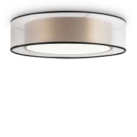 Потолочный светильник Freya FR6005CL-L36G