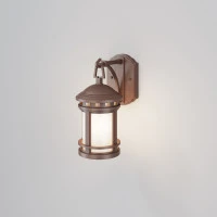 Уличный настенный светильник Outdoor O031WL-01BR