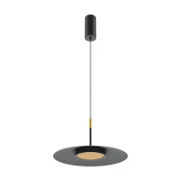 Подвесной светильник Maytoni MOD041PL-L15B3K1