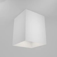 Потолочный светильник Technical C015CL-01W