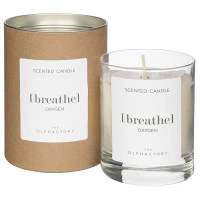 Свеча ароматическая the olphactory, breathe, oxygen (новая), 40 ч