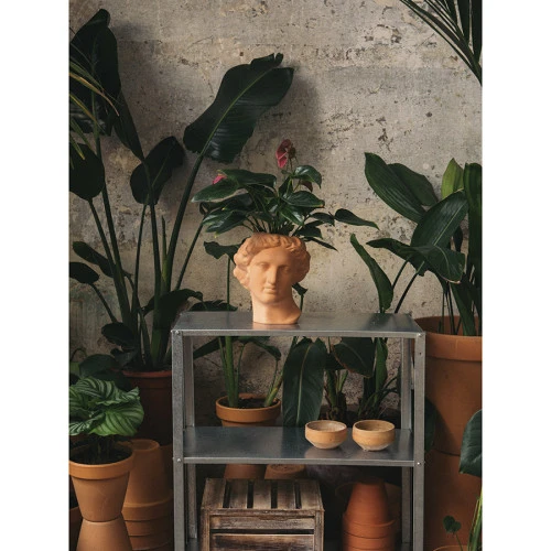 Ваза для цветов apollo, 23,4 см, терракотовая