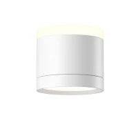 Потолочный светильник Technical C120CL-GX53-W