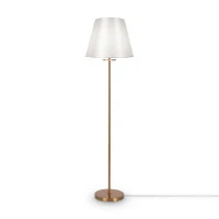 Напольный светильник (торшер) Freya FR1006FL-01G