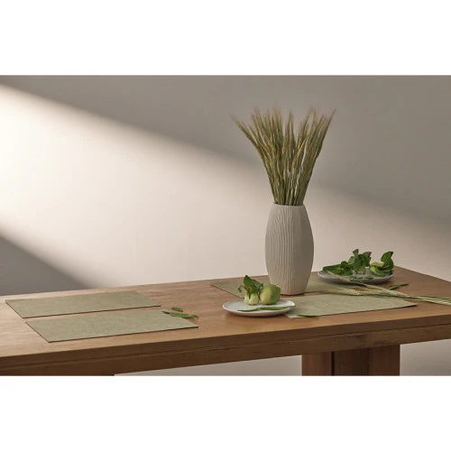 Набор из 2-х сервировочных салфеток leanera, 30х45 см, мятные