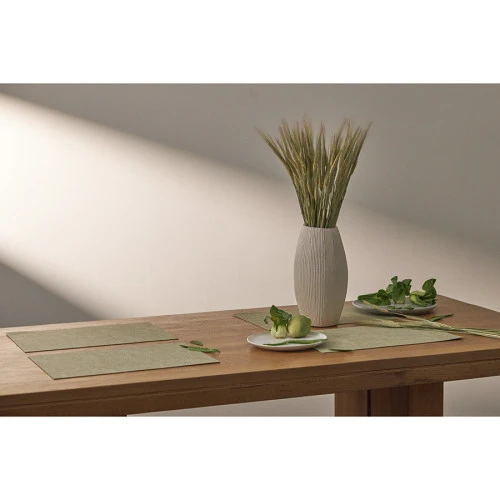 Набор из 4-х сервировочных салфеток leanera, 30х45 см, мятные