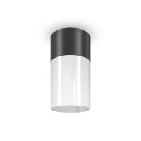 Уличный потолочный светильник Outdoor O418CL-01B