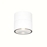 Потолочный светильник Outdoor O310CL-L12W3K