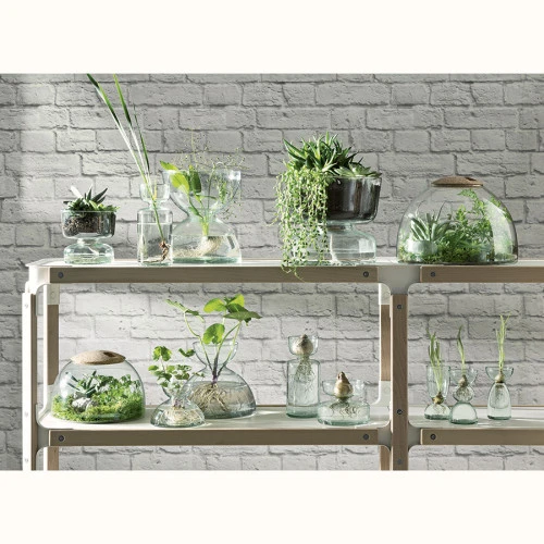 Ваза canopy, 10 см