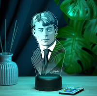 3D светильник  Светильник "Есенин"