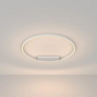 Потолочный светильник Maytoni MOD058CL-L50W3K