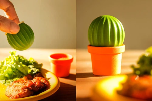 Набор для специй cactus