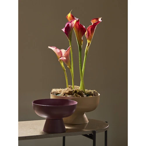 Блюдо на ножке vivlend, D25,5 см, бежевое