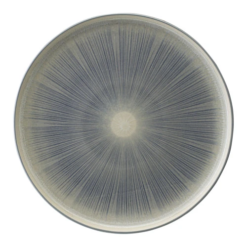 Набор из двух тарелок eclipse из коллекции essential, D27 см