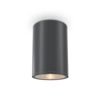 Уличный потолочный светильник Outdoor O306CL-L12GF