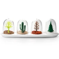 Набор для специй four seasons