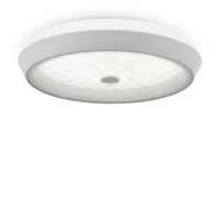 Потолочный светильник Freya FR10012CL-L24W