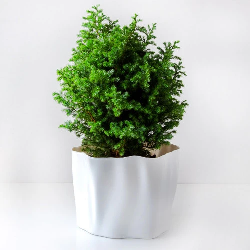 Органайзер средний flow, белый