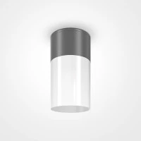 Уличный потолочный светильник Outdoor O418CL-01GR