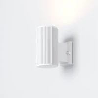 Уличный настенный светильник Outdoor O419WL-01W