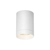 Уличный потолочный светильник Outdoor O500CL-L10W3K