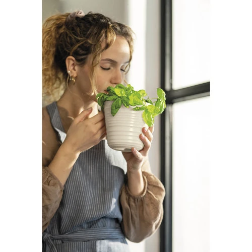 Кашпо для комнатных растений tierra, серо-бежевое