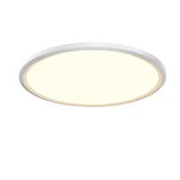 Потолочный светильник Maytoni MOD426CL-L43WK1