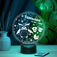 3D светильник  Ночник - Метрика с совой