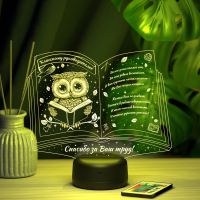 3D светильник  Светильник "Книга с совой"