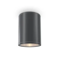 Уличный потолочный светильник Outdoor O306CL-L7GF