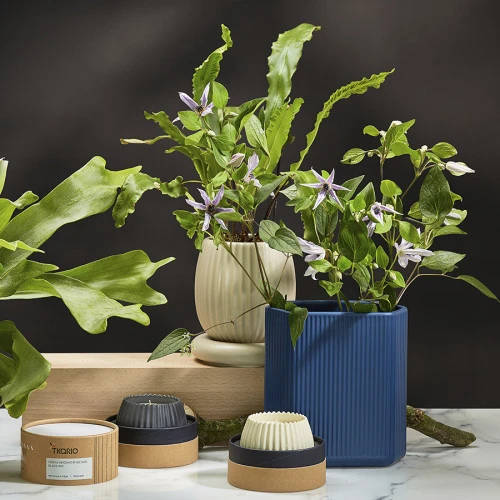 Свеча ароматическая green tea & pear blossom из коллекции edge, серый, 30 ч