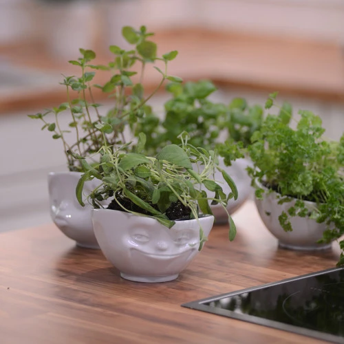 Чаша kissing, 500 мл, белая