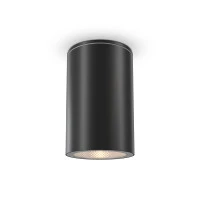 Уличный потолочный светильник Outdoor O307CL-01B