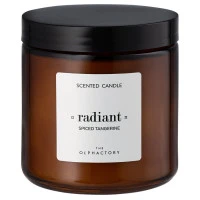 Свеча ароматическая the olphactory, radiant, spiced tangerine, 60 ч