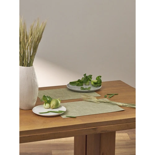 Набор из 2-х сервировочных салфеток leanera, 30х45 см, мятные