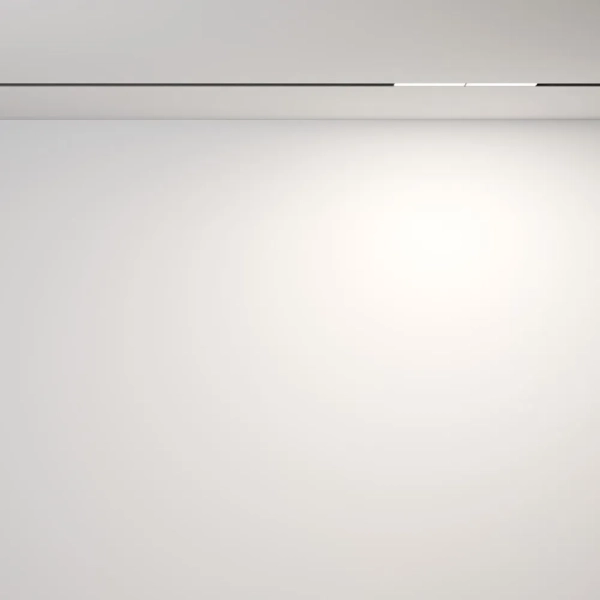 Трековый светильник Technical TR106-2-12W4K-B