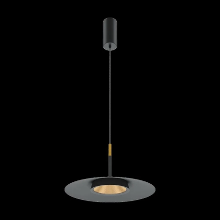 Подвесной светильник Maytoni MOD041PL-L15B3K1