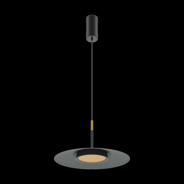 Подвесной светильник Maytoni MOD041PL-L15B3K1