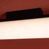 Потолочный светильник Freya FR5625CL-L20B