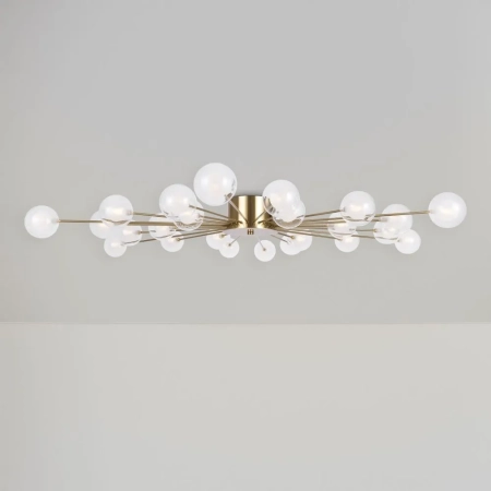 Потолочный светильник Freya FR5242CL-24BS1