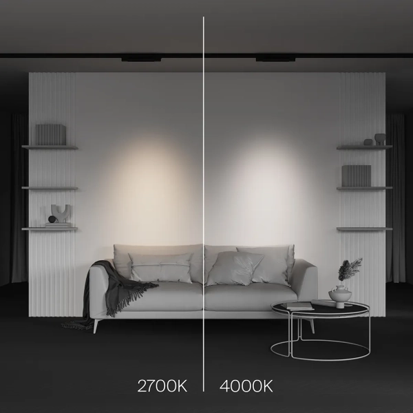 Трековый светильник Technical TR195-3-10W4K-M-B