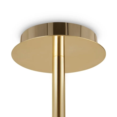 Потолочный светильник Freya FR1010CL-06G