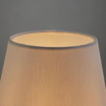 Настольный светильник Freya FR5371TL-01BS