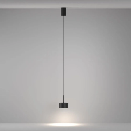Подвесной светильник Maytoni P102PL-12W4K-B