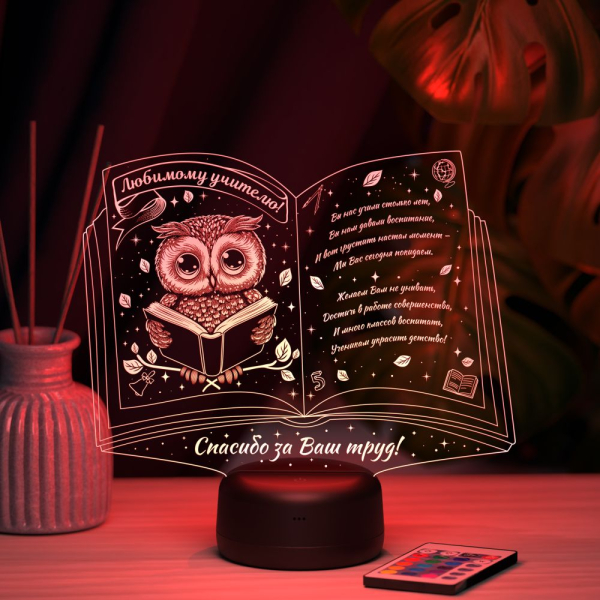 3D светильник  Светильник "Книга с совой"