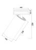 Потолочный светильник Technical C057CL-L12W4K